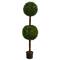 4.5ft. Potted Boxwood Double Ball Topiary Tree
